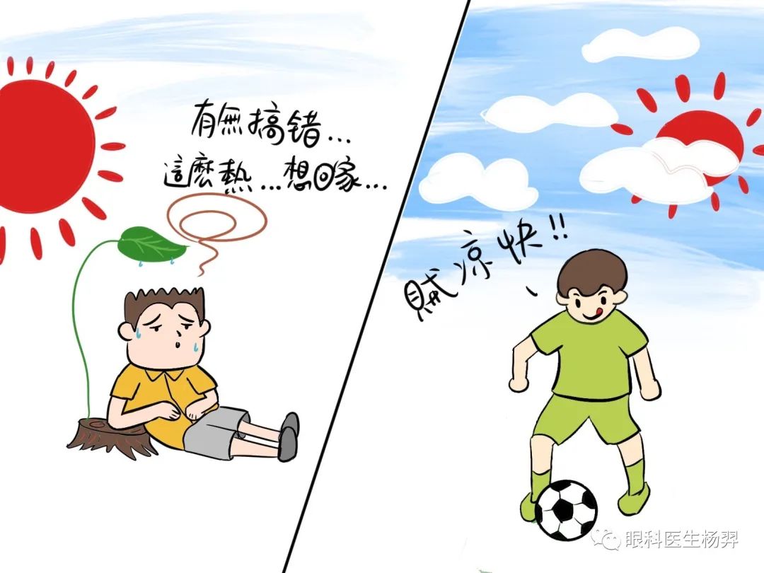 户外活动为什么能防控近视,户外活动防控近视背后的秘密