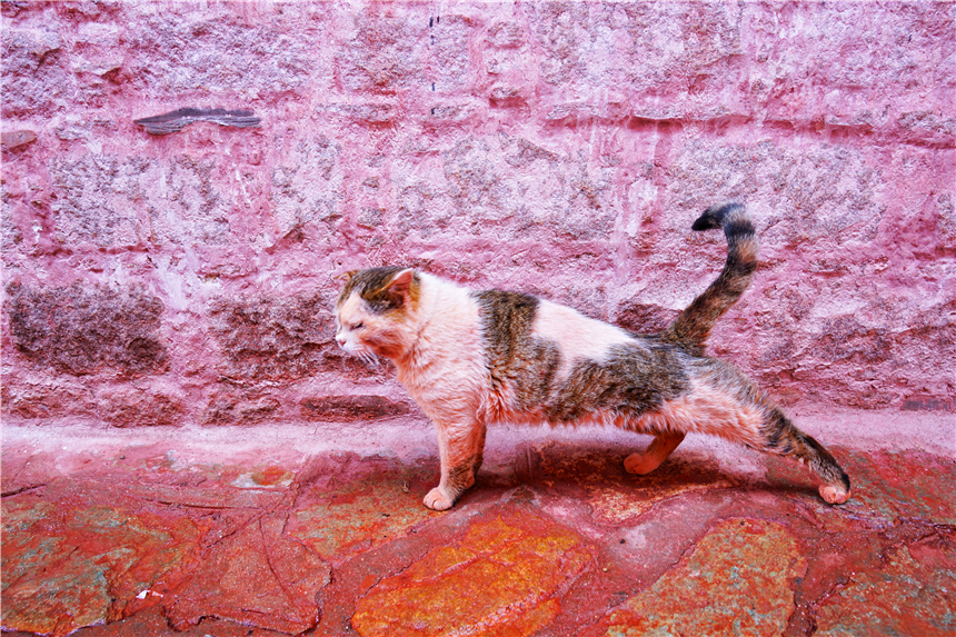西藏秘境旅游,西藏秘境视频大全