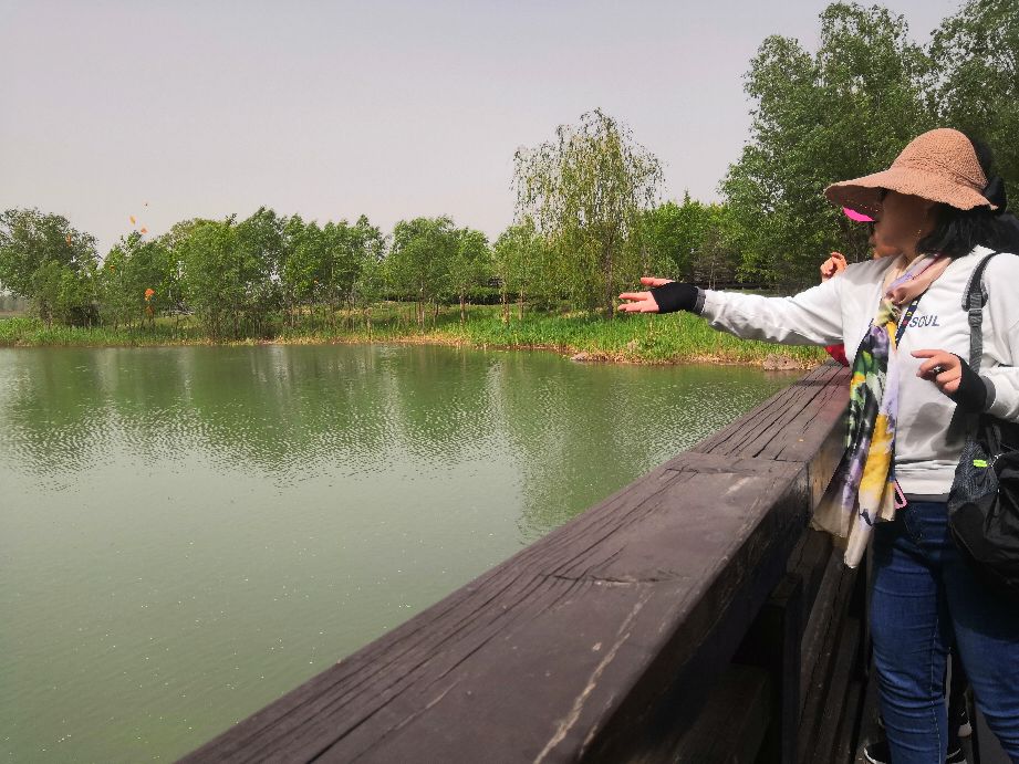搁浅记忆原创,搁浅记忆英文