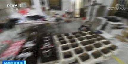 lv和爱马仕的区别,爱马仕和lv真正区别