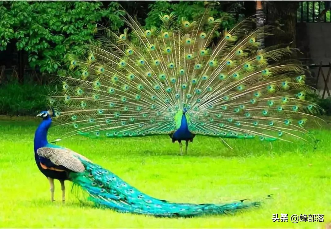 农村现在什么行业前景好最赚钱的,在农村有什么轻资产加工赚钱项目