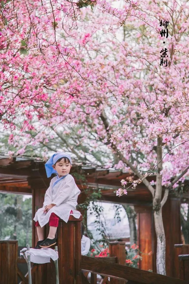 广西有座小城,广西这个宜居小城很低调