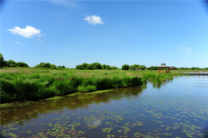 东北小但是吞吐量大的机场,东北最繁忙的飞机场