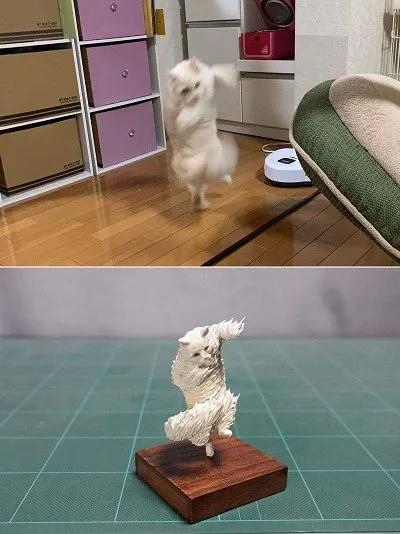 动物表情包沙雕魔性,沙雕动物爆笑瞬间表情包