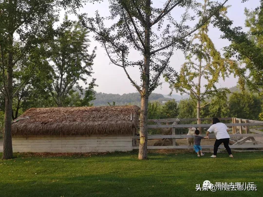 北京最有度假感的酒店，就在金海湖