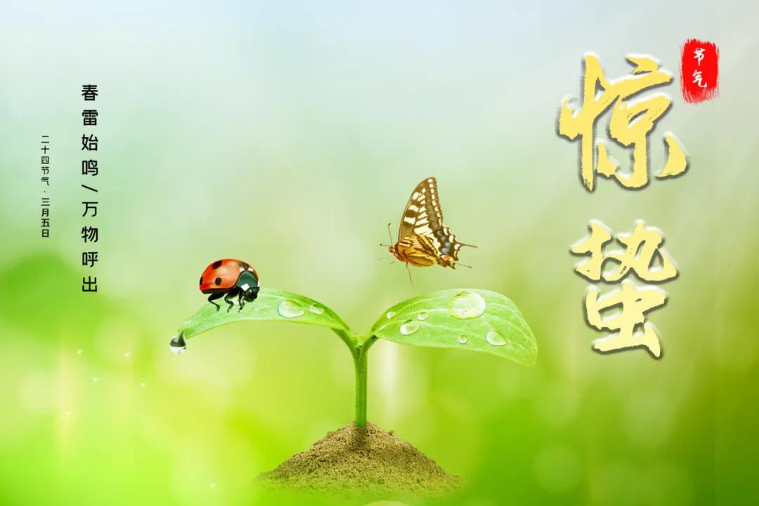 惊蛰节气养生小妙招,惊蛰节气养生小知识大全