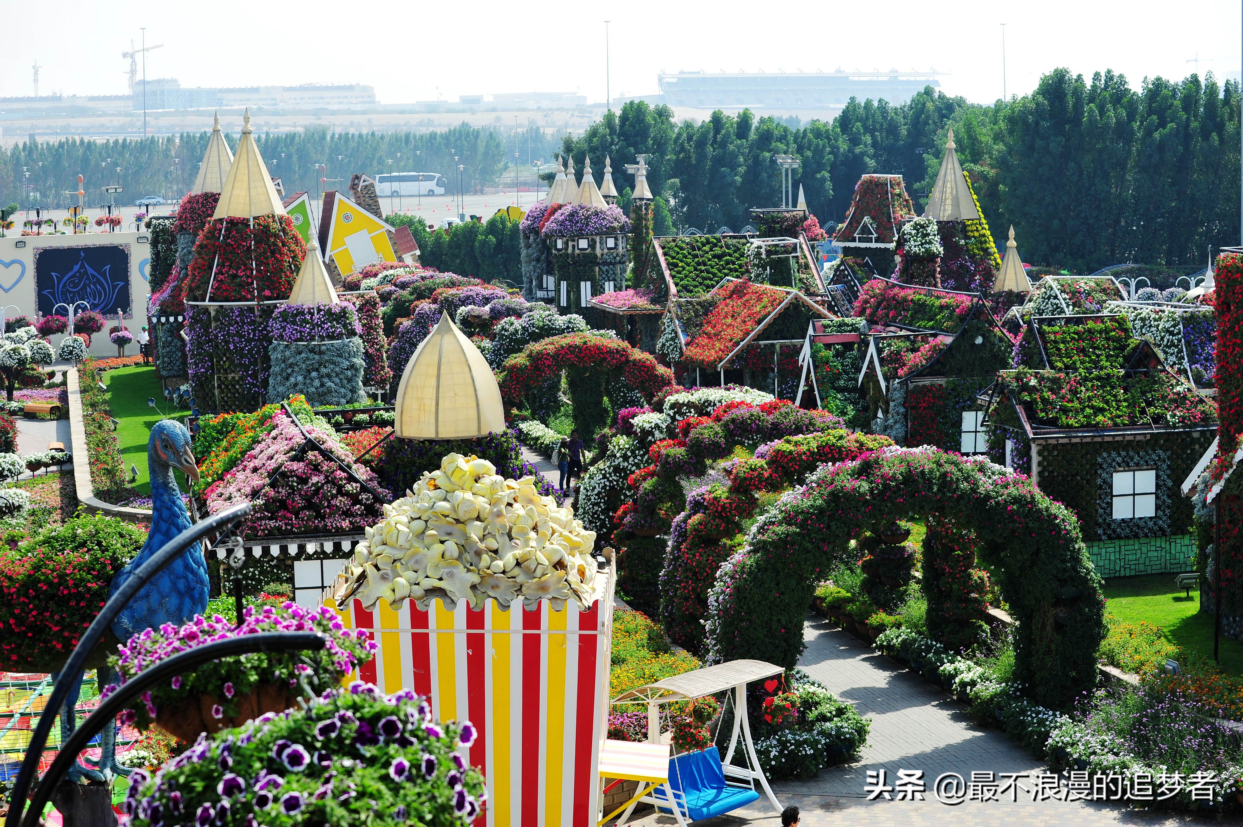 阿联酋迪拜的旅游感想,阿联酋迪拜旅游攻略