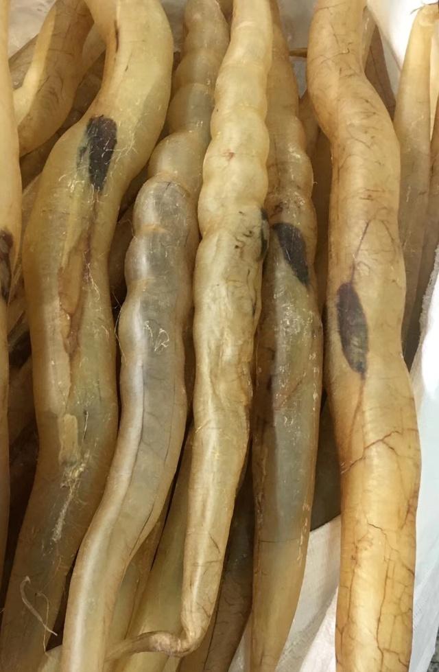 花胶的选购方法教你选择优质花胶,花胶怎么挑选好用