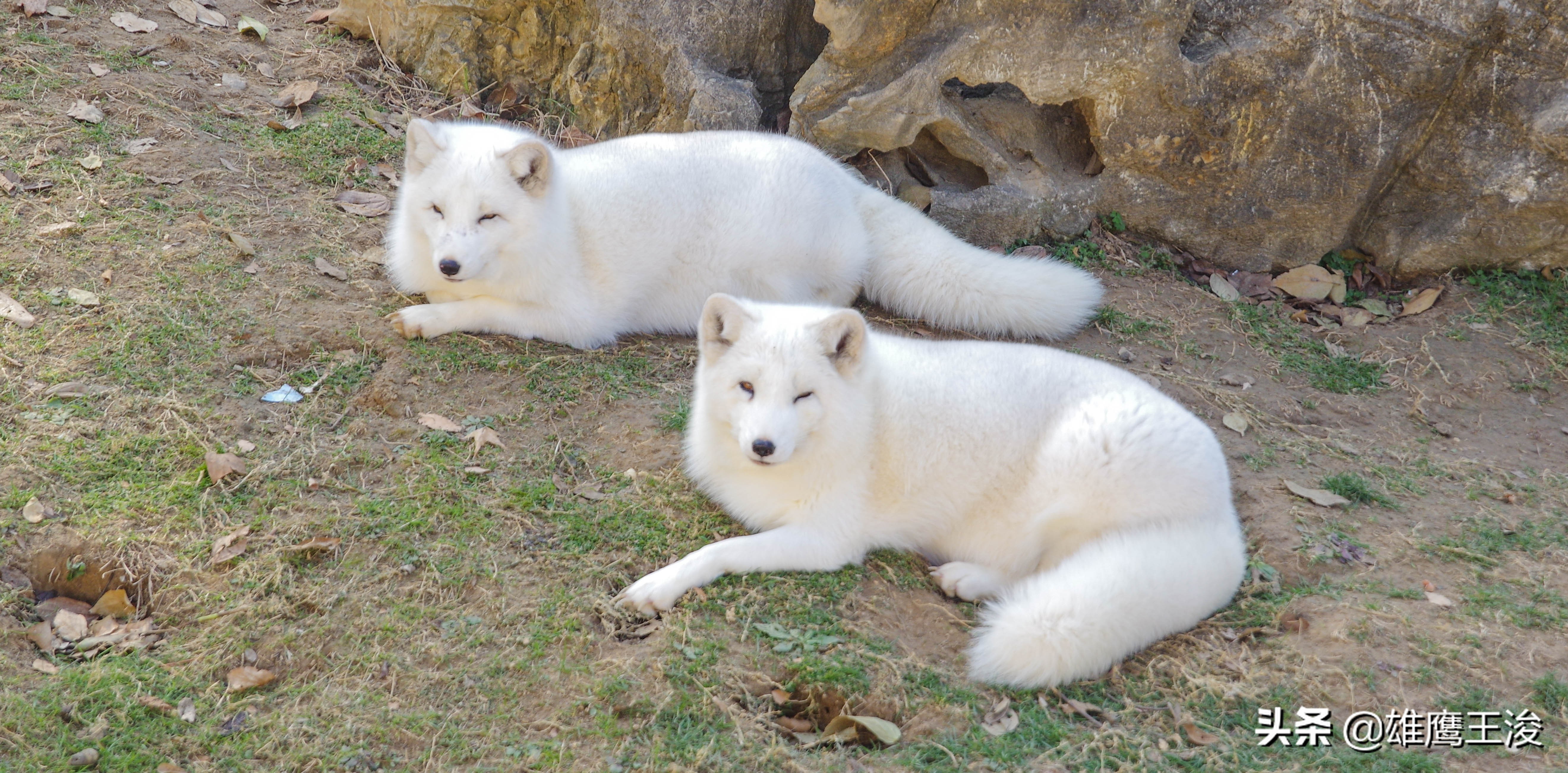 江苏最适合旅居的小城市,江苏度假城市推荐