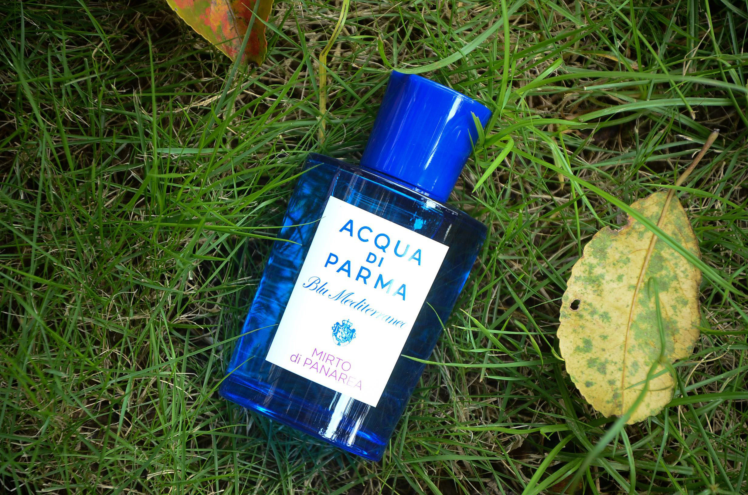 撞香比撞衫更可怕！轻*女熟**必备这7款小*香众**水，闺蜜都羡慕你的美