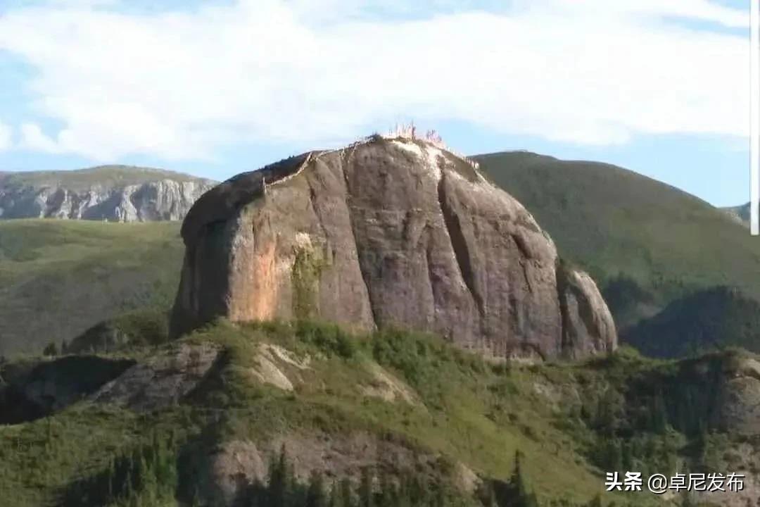 甯呮皵闃垮崜,鏃╂湡闃垮崜