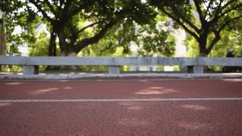 产地福建莆田的球鞋是真的吗,正品球鞋产地却为什么是莆田