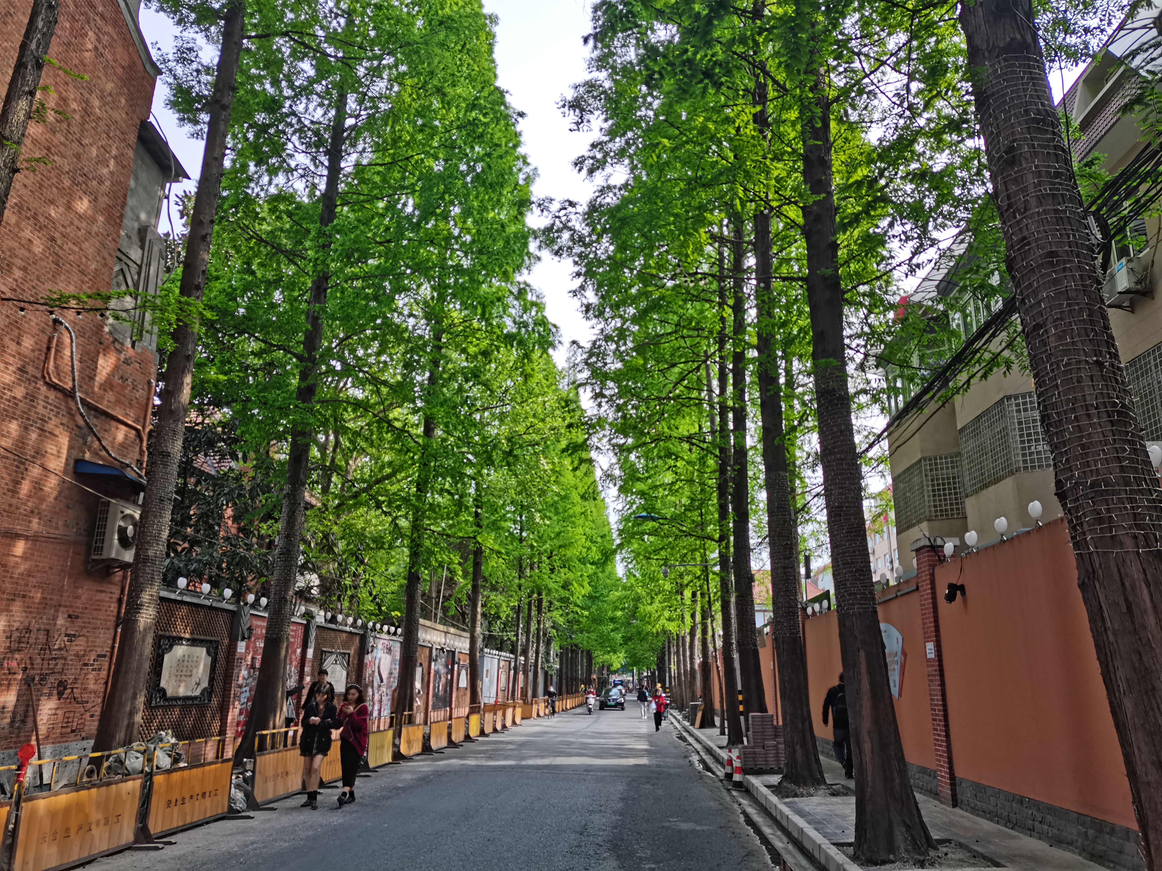我眼中的女性形象,外地人眼里的上海女人