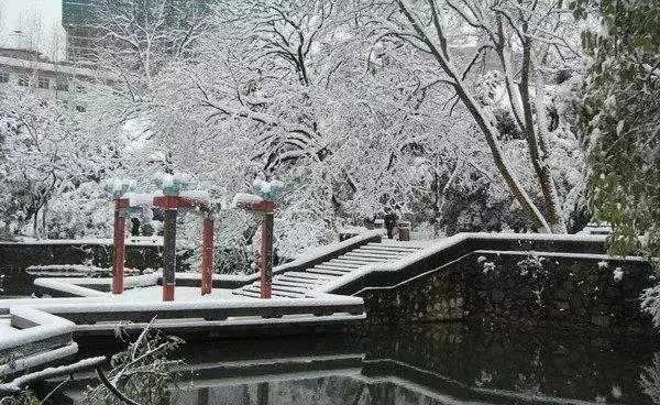 女排11连胜新闻联播,南师大排球比赛直播回放