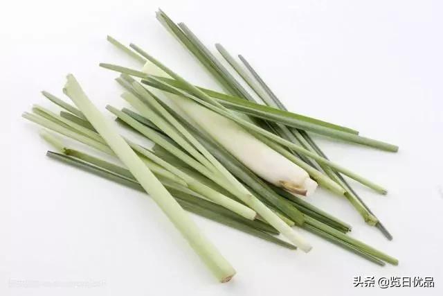 vape驱蚊喷雾驱蚊水 (vape驱蚊水哪个颜色驱蚊效果好)