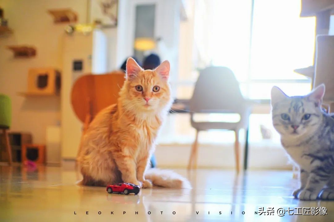 万金油镜头是哪个焦段,50-80焦段怎么选