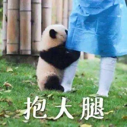 OMG！被李佳琪种草的大牌口红+爆款色号，竟然免费拿