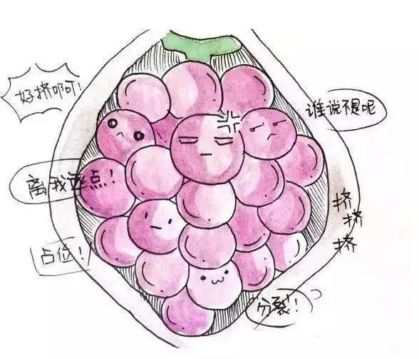 怀孕为什么会长水泡,怀孕长水泡结痂