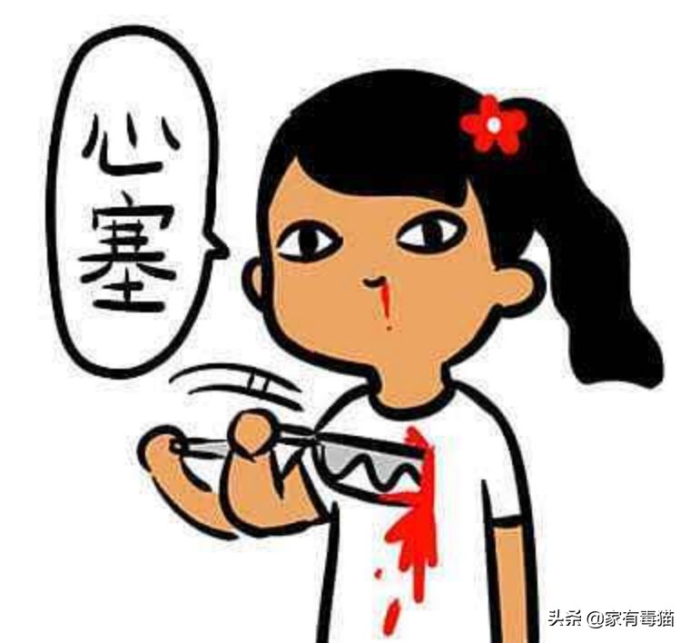 猫粮为何叫毒粮,猫粮和米饭哪个安全