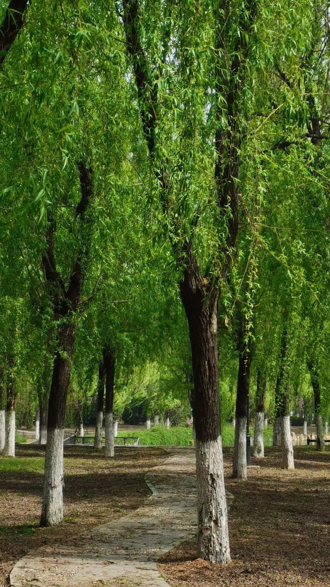 淮南师范学院在安徽排名,淮南师范学院安徽省排名