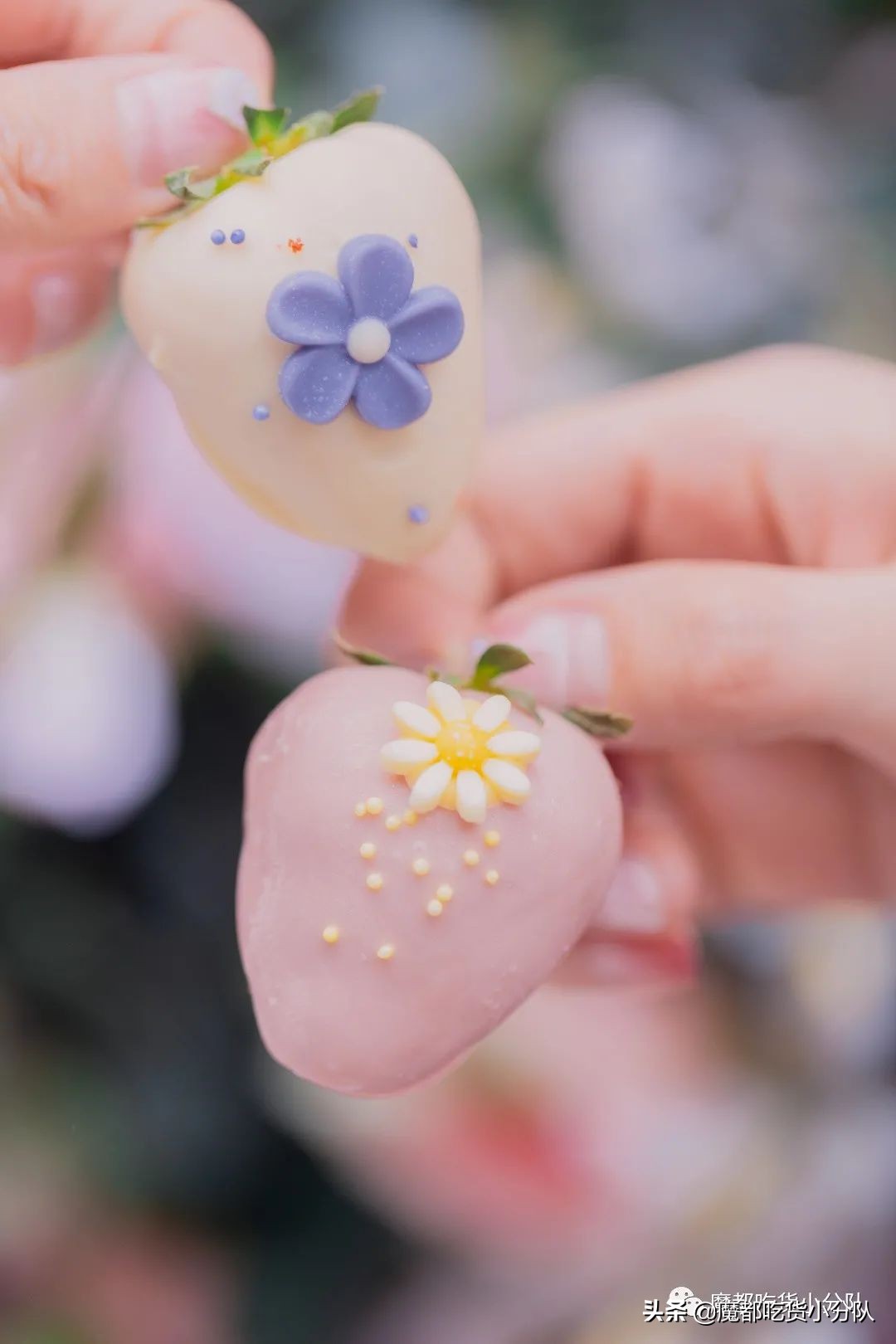 17元/颗的隐形草莓，荷兰来的