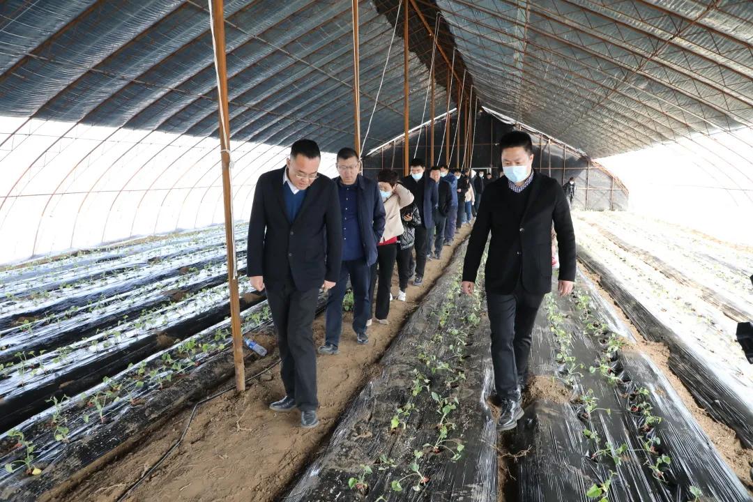 返乡入乡创业创新宣传周实施方案,返乡入乡创业创新政策宣传信息