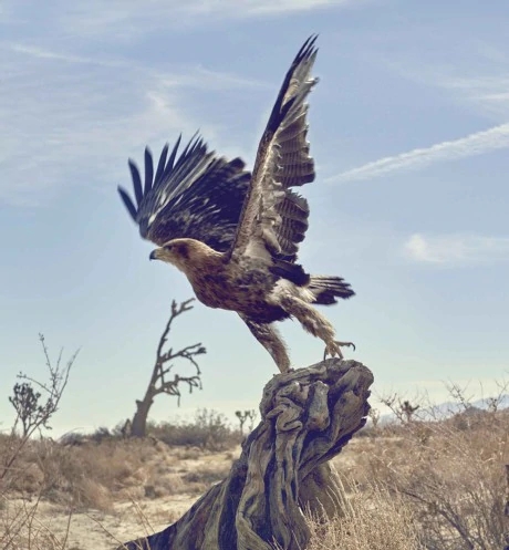 海外特卖网的货品是正品吗,海外特卖靠谱吗