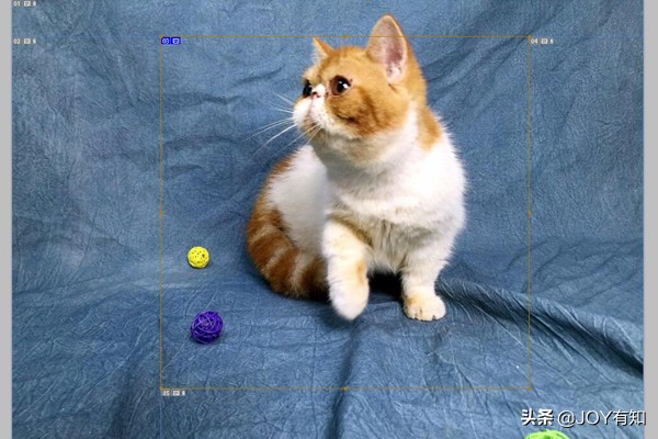 photoshop怎么移动切片,photoshop切片选择工具