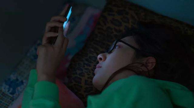 浏览不良网站的记录会消除吗,手机浏览不良网站记录能清除吗