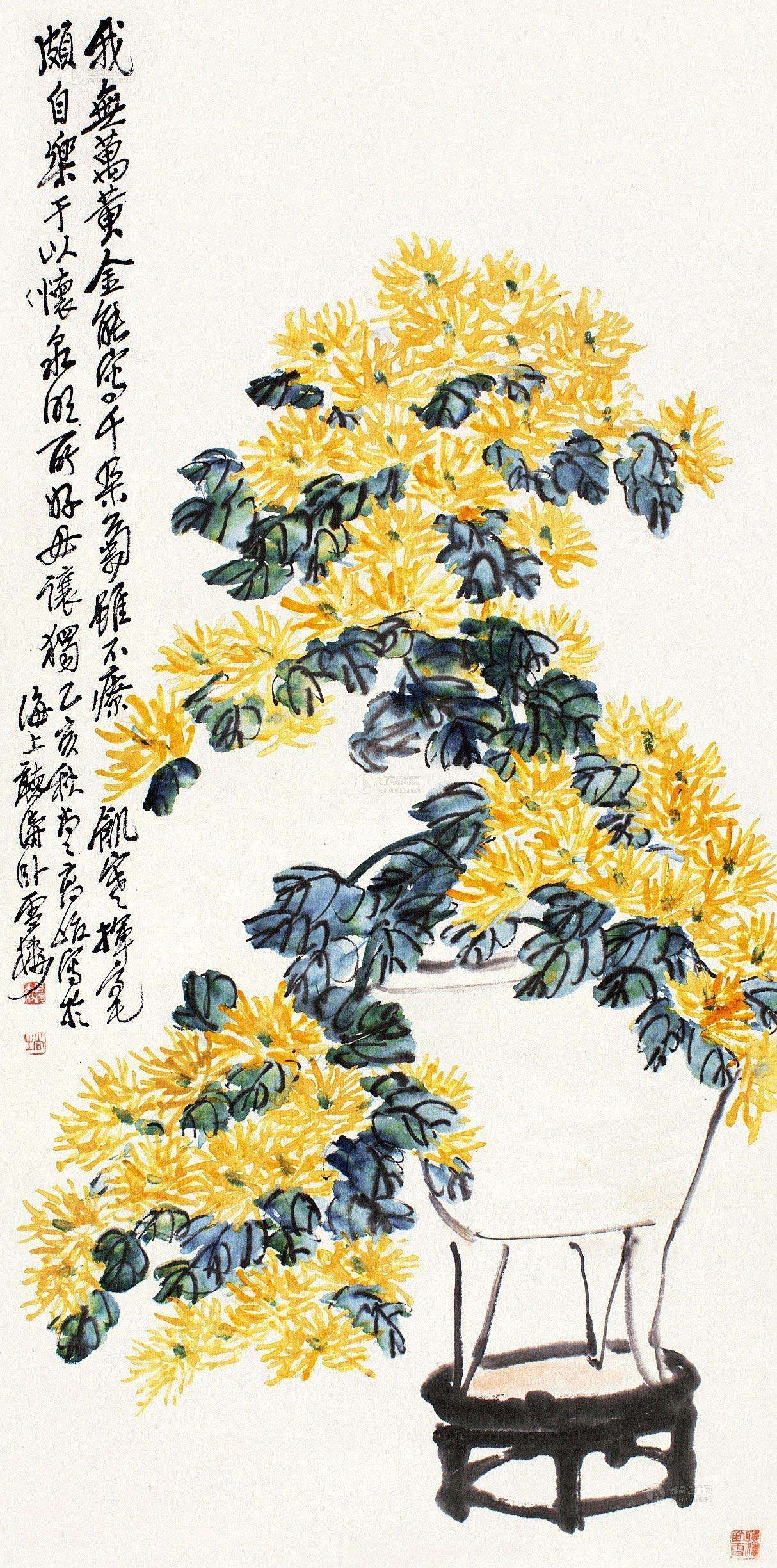 菊花的品格和精神,菊花的美丽什么意思