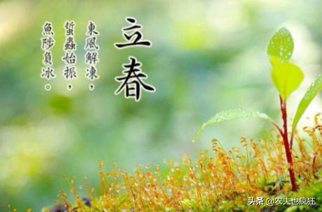 双春兼月结婚好时年什么意思,双春年什么说法