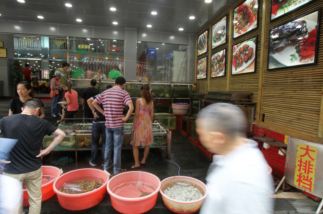 厦门鼓浪屿旅游攻略厦门大学,厦门岛金门岛鼓浪屿尽收眼底