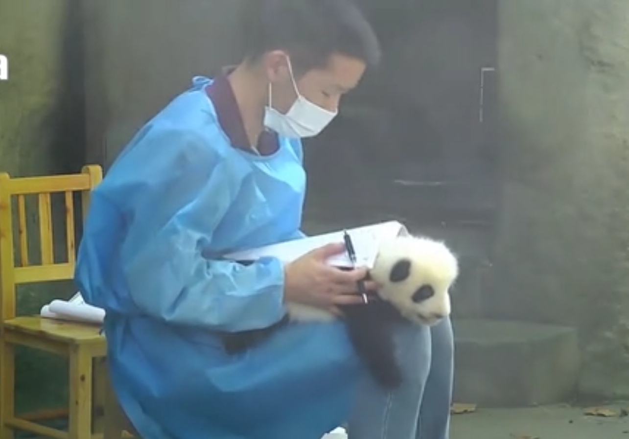 欧拉公式能解决什么数学问题,欧拉公式宇宙第一