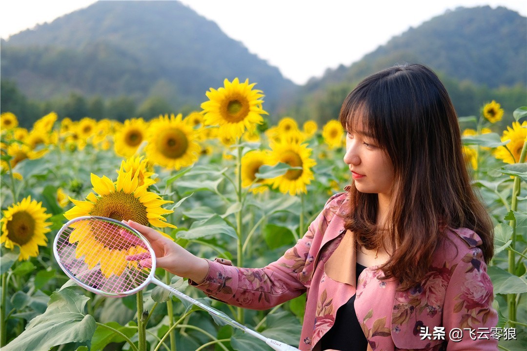 中羽飞云零狼,中羽无差评的球拍