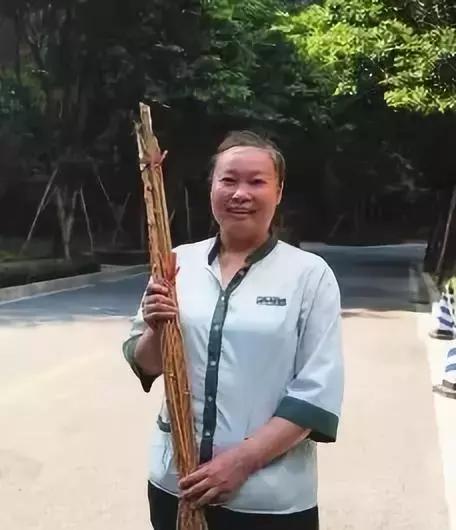 保洁大姐徐桂芳,李春玲家政