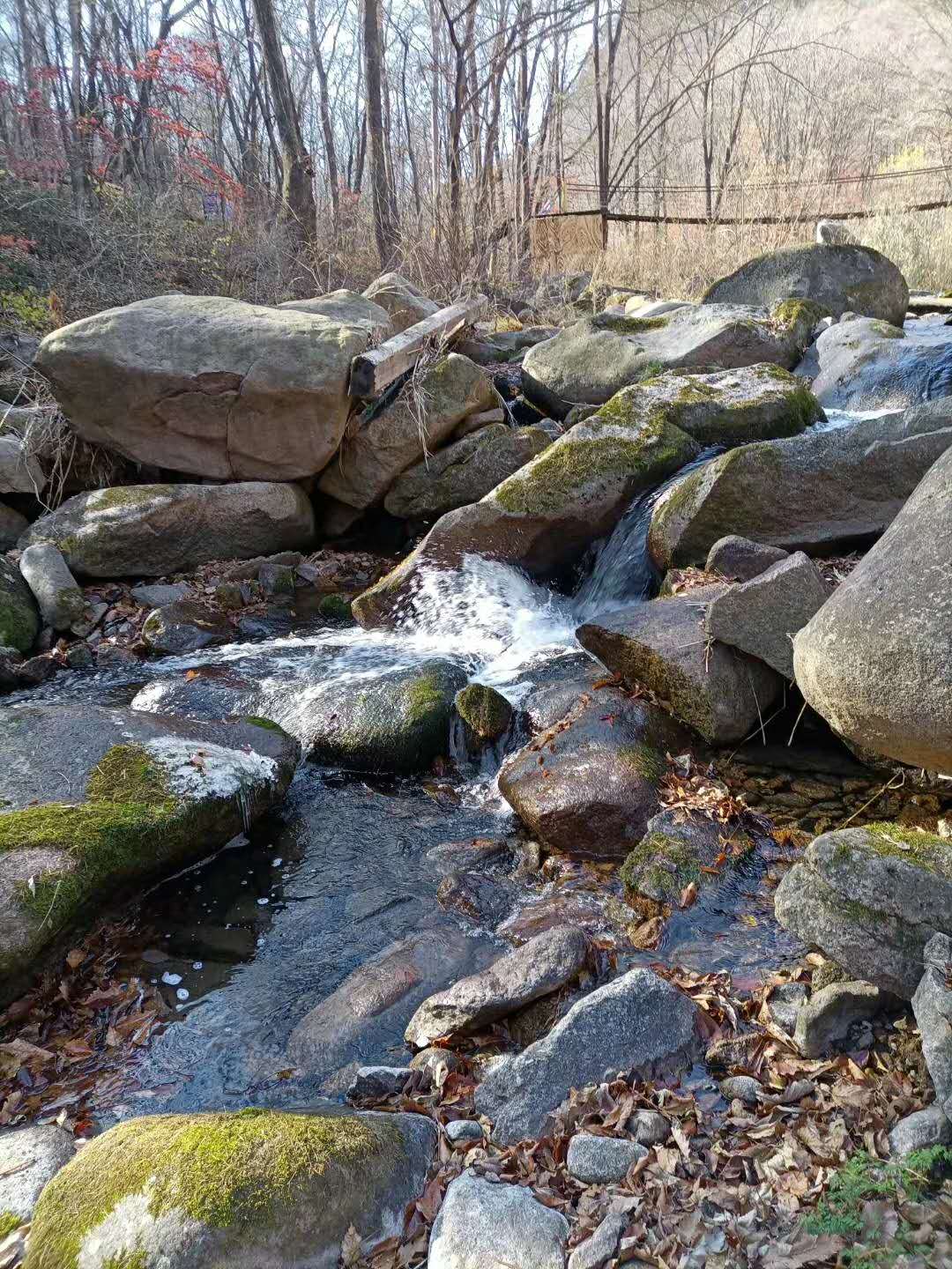 抚顺猴石国家森林公园,辽宁猴石国家森林公园在哪里
