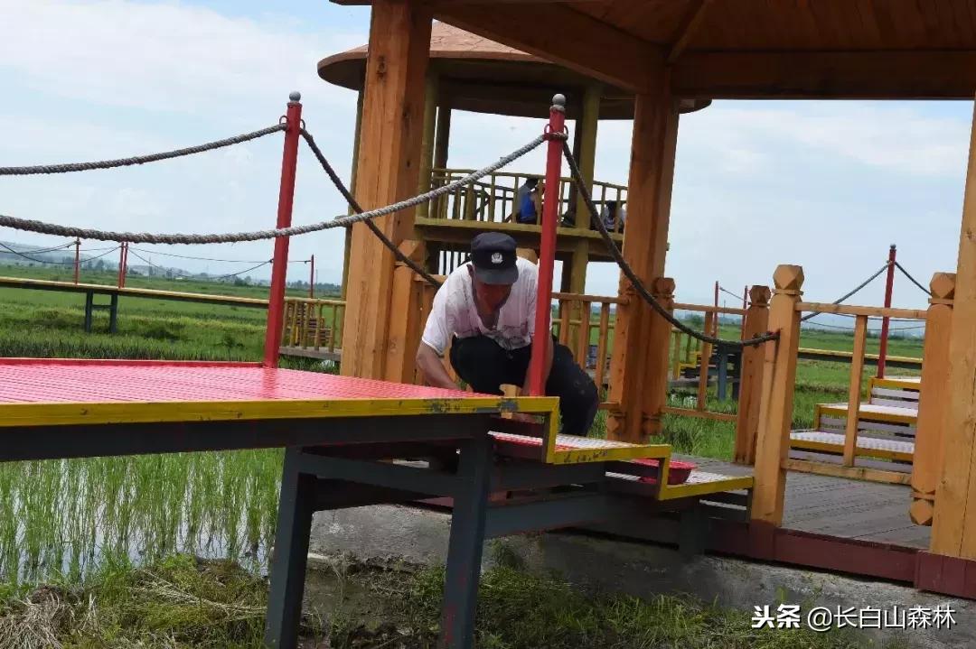 延边改革开放40周年变迁,延吉改革开放变化