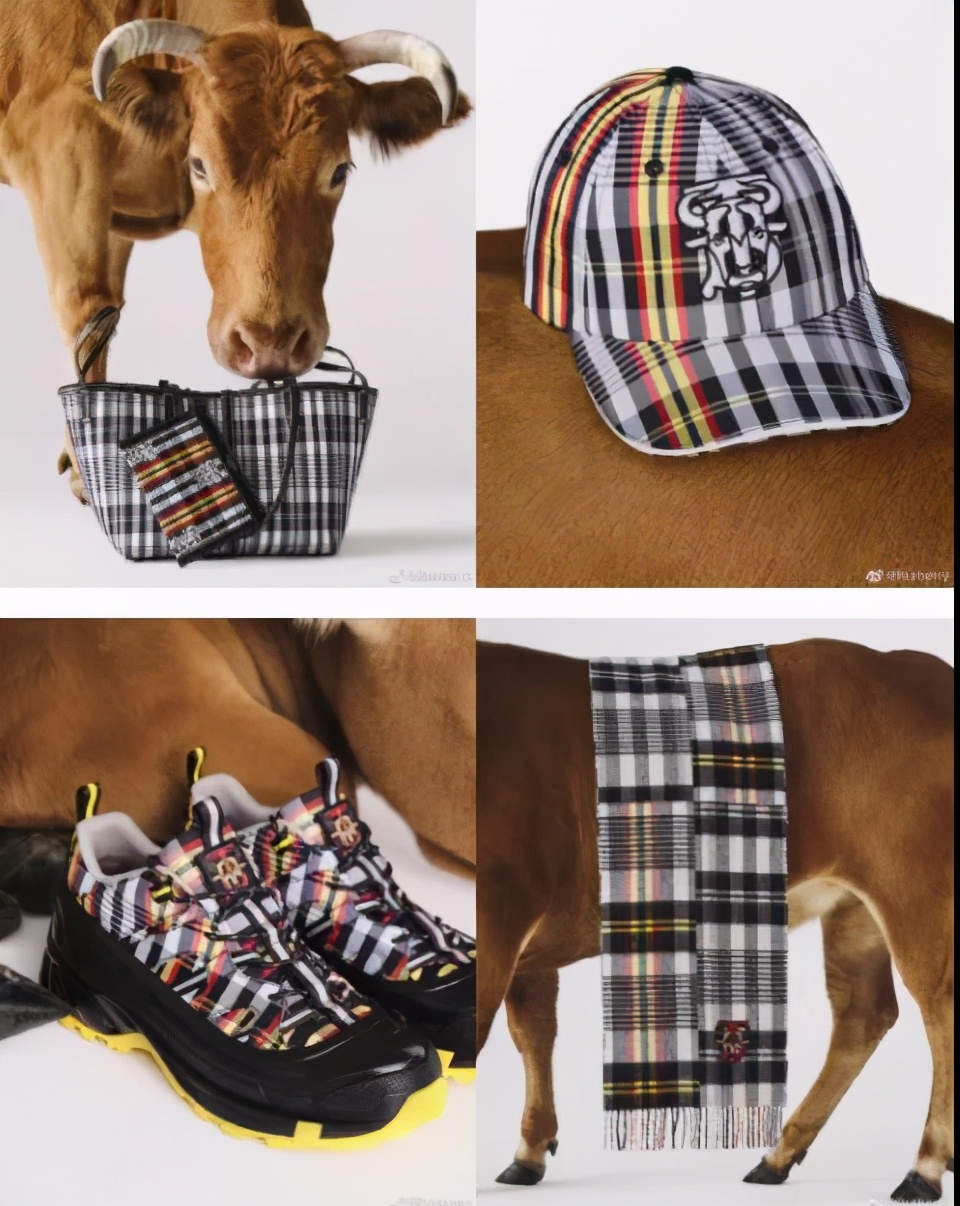 子鼠丑牛中的牛,子鼠丑牛好吗