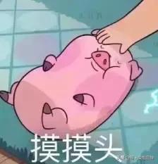 香港hpv疫苗真假,怎么判断hpv疫苗真假