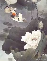 诗经中关于鸟的句子,诗经中寓意美好的鸟