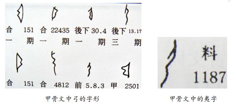关于张姓历史报告的研究结论,关于张姓的历史人物研究报告