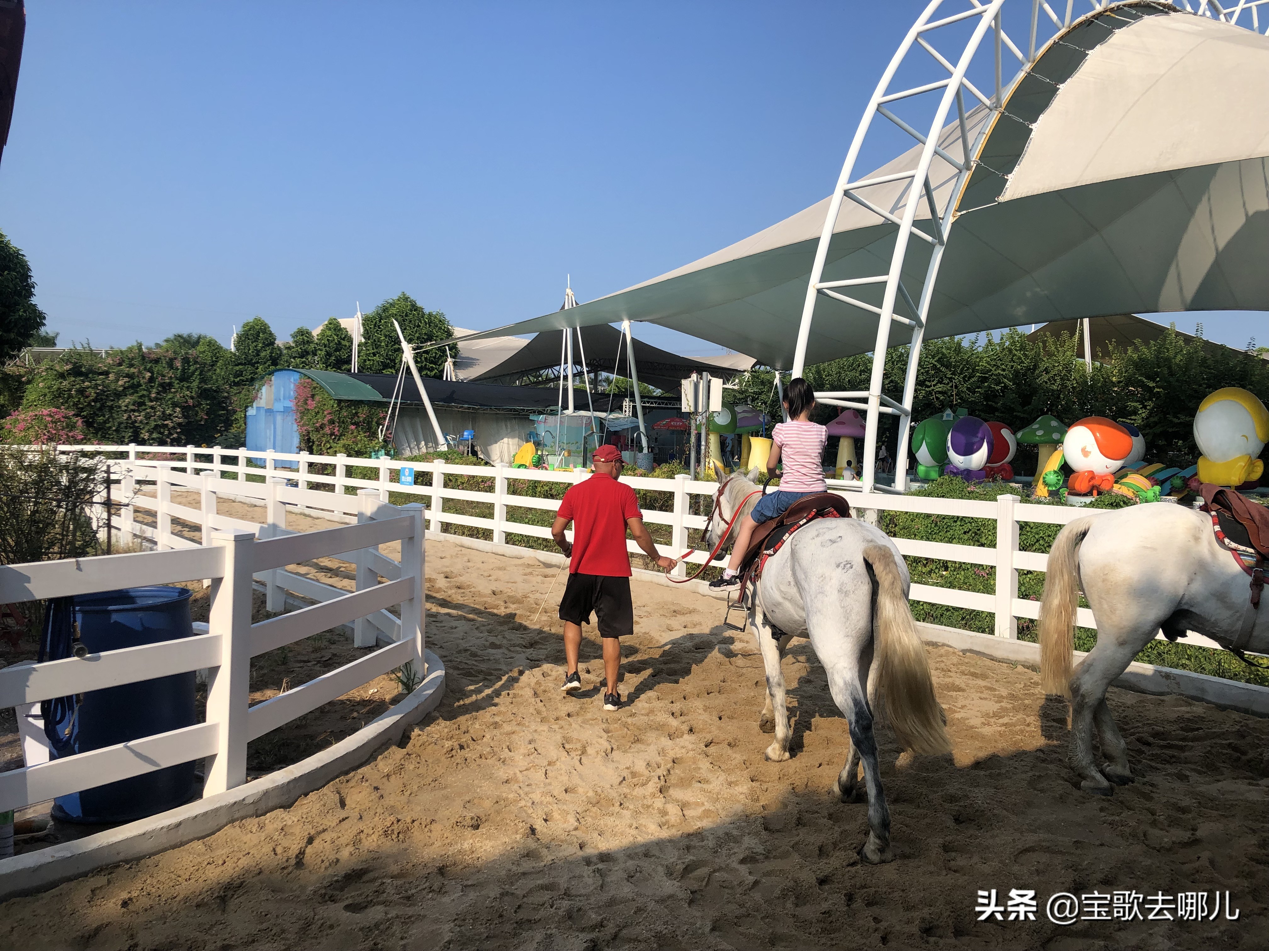 南沙百万葵园游记,南沙百万葵园亲子游