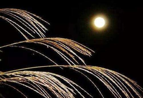 写诗人漂泊在外关于月亮的诗,较为生僻的关于月亮的思乡诗