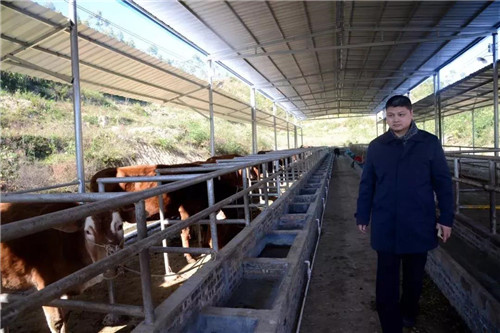 深晚关注｜这个贫困村居然开起洗车店？还建四合院、加工厂？原来是……