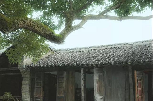 乌镇枕水酒店和望津里酒店哪家好,乌镇住宿古宅