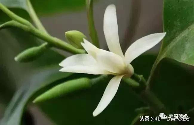 用一心告诉你，嘴唇干裂出血怎么办？