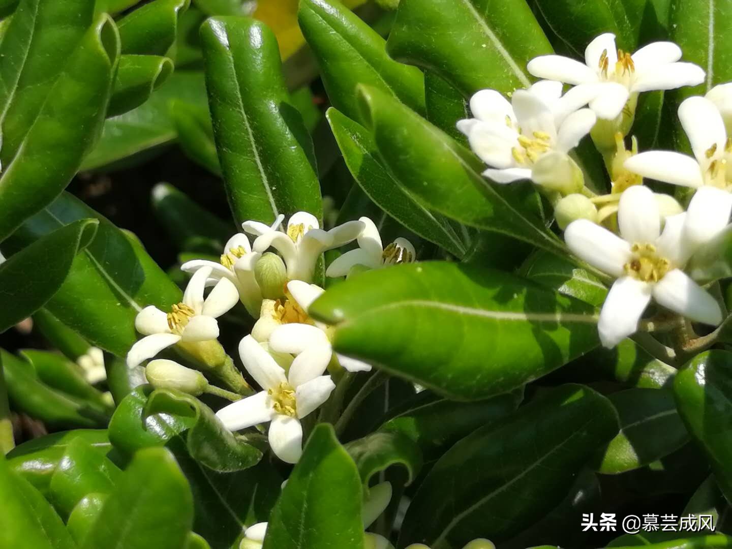 自由行去枸杞岛,枸杞岛自由行