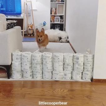 花多少钱可以在家打造一个健身房,花最少的钱在家打造健身房