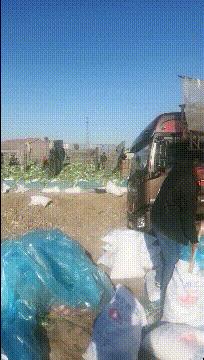 喜欢很久的小哥哥,喜欢了很久的小哥哥