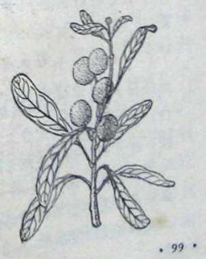 舌尖上的美食西安篇,舌尖上的中国西安美食完整版